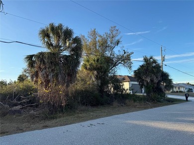 Under contract-accepting backup offers. Build your Florida dream - photo 3