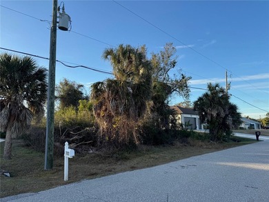 Under contract-accepting backup offers. Build your Florida dream - photo 5