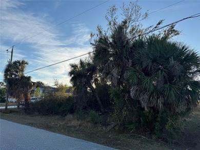 Under contract-accepting backup offers. Build your Florida dream - photo 6