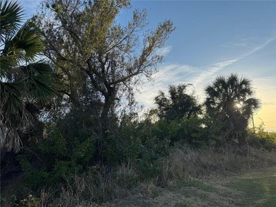 Under contract-accepting backup offers. Build your Florida dream - photo 7