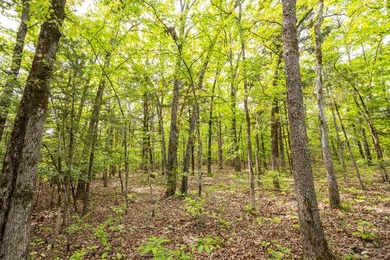 This 32 +/- acre tract in Boone County offers a prime - photo 29