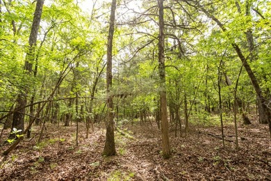 This 32 +/- acre tract in Boone County offers a prime - photo 31