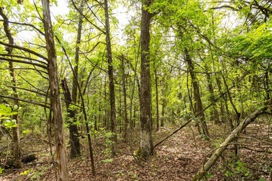 This 32 +/- acre tract in Boone County offers a prime - photo 36