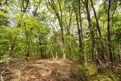This 32 +/- acre tract in Boone County offers a prime - photo 37