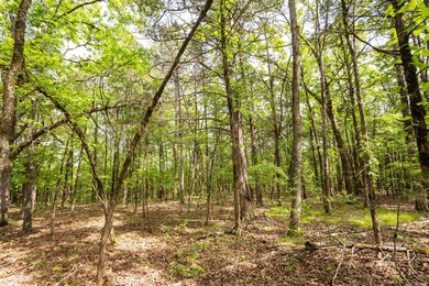 This 32 +/- acre tract in Boone County offers a prime - photo 41