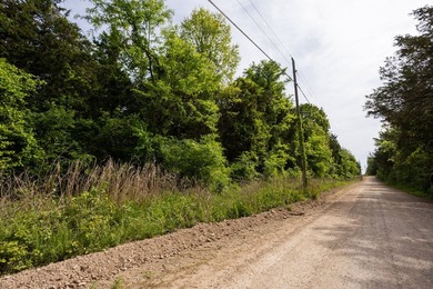 This 32 +/- acre tract in Boone County offers a prime - photo 46