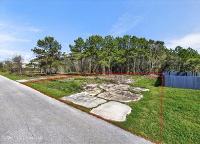Don't miss this incredible opportunity to own a lot in the heart - photo 3