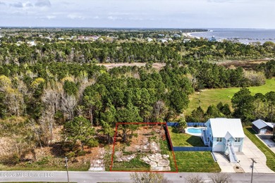 Don't miss this incredible opportunity to own a lot in the heart - photo 4