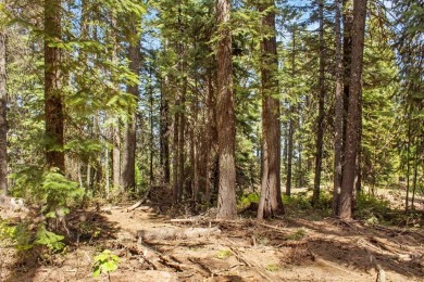 Lake Acreage For Sale in Donnelly, Idaho