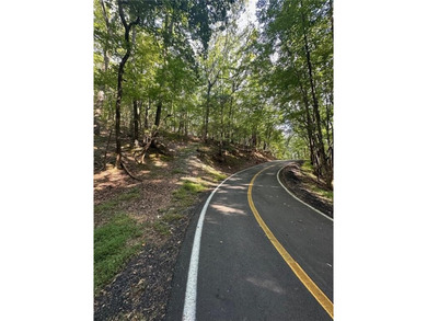 This 1.09 acre lot in Bent Tree in Jasper, Georgia is close to - photo 3
