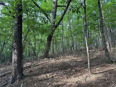 This 1.09 acre lot in Bent Tree in Jasper, Georgia is close to - photo 5