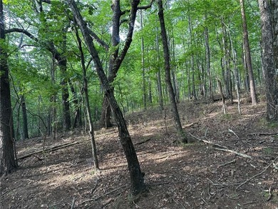 This 1.09 acre lot in Bent Tree in Jasper, Georgia is close to - photo 6