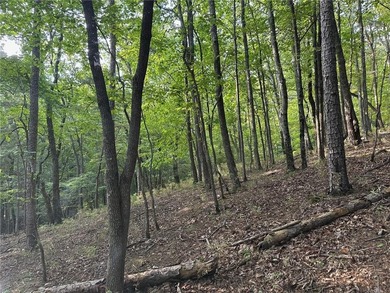 This 1.09 acre lot in Bent Tree in Jasper, Georgia is close to - photo 7