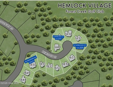 Nestled on a quiet cul-de-sac in Forest Creek Golf Club, this - photo 3