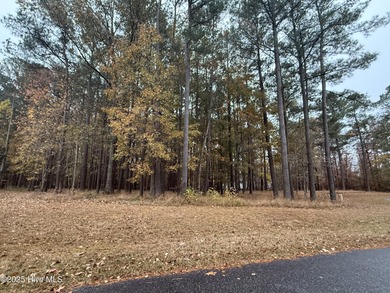 Yeopim River / Bethel Creek  Lot For Sale in Hertford North Carolina