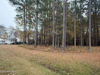 Nice oversized building home site ready for your custom built - photo 3