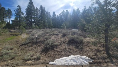 Cascade Lakeview Lot. Tucked at the end of a quiet cul-de-sac - photo 13