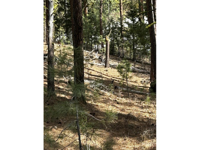 Cascade Lakeview Lot. Tucked at the end of a quiet cul-de-sac - photo 20