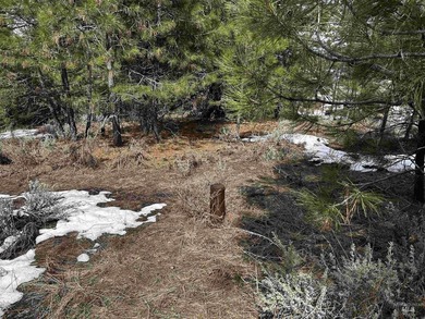 Cascade Lakeview Lot. Tucked at the end of a quiet cul-de-sac - photo 21