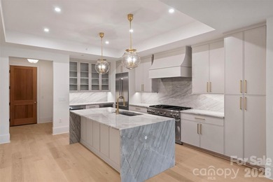 Discover unparalleled luxury and secure, seamless living at 409 - photo 6
