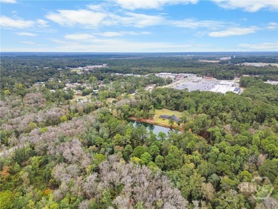 This impressive 3,521 sq. ft. ranch rests on 13.56 acres of - photo 9
