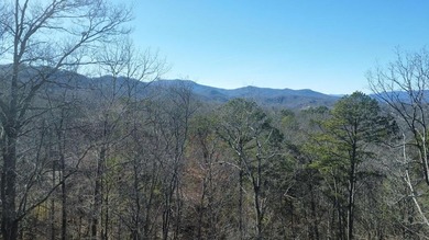 Tuckaseegee River Lot For Sale in Whittier North Carolina