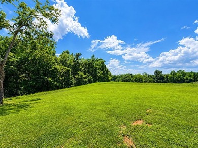 Country Living with Modern Style on nearly an acre! Welcome home - photo 13