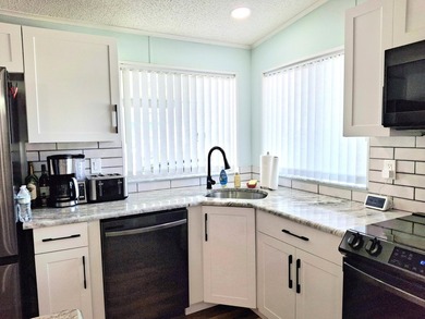 Fully furnished 2/2 home featuring a modern remodeled kitchen - photo 4
