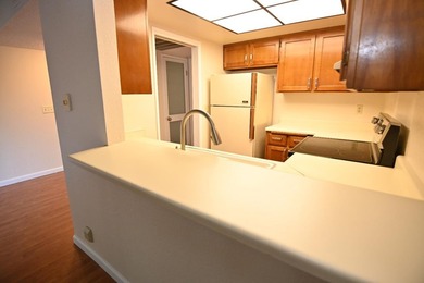 Why pay rent, when you can own! Welcome to this bright and - photo 6