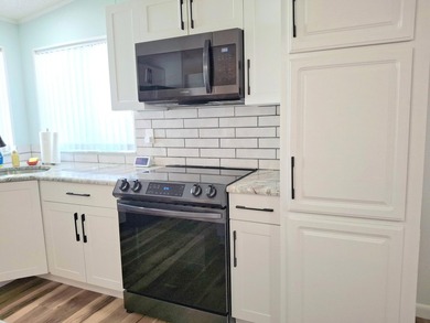 Fully furnished 2/2 home featuring a modern remodeled kitchen - photo 6