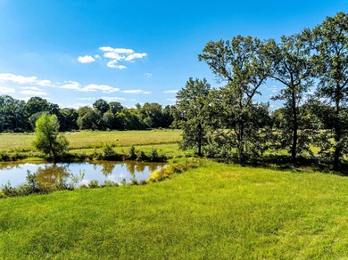 Lake Acreage For Sale in Conway, Arkansas