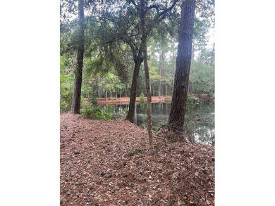 This 5.18 acre tract is located right off Hwy 99 between Eulonia - photo 12