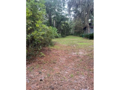 This 5.18 acre tract is located right off Hwy 99 between Eulonia - photo 13