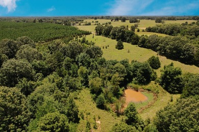 Lake Acreage For Sale in Antlers, Oklahoma