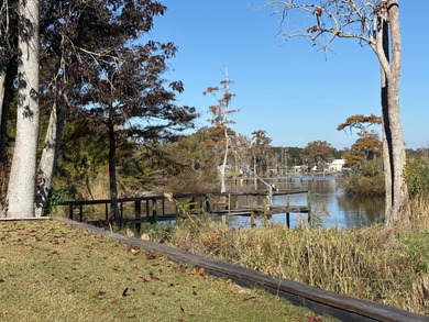 Lake George Home For Sale in Cresent City Florida