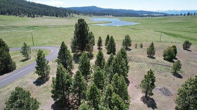 (private lake, pond, creek) Acreage Sale Pending in Donnelly Idaho