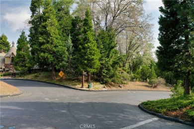 Lake Lot For Sale in Lake Arrowhead, California