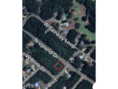 CORNER LOT - .3072 acres on paved road in the Citrus Springs - photo 1