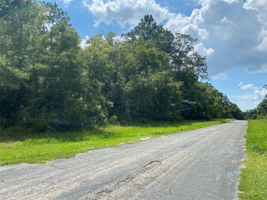 CORNER LOT - .3072 acres on paved road in the Citrus Springs - photo 2