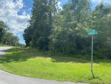 CORNER LOT - .3072 acres on paved road in the Citrus Springs - photo 3