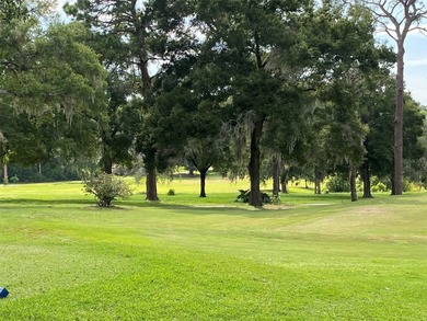 CORNER LOT - .3072 acres on paved road in the Citrus Springs - photo 5