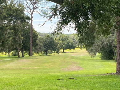 CORNER LOT - .3072 acres on paved road in the Citrus Springs - photo 6