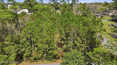 Beautiful 0.42-acre wooded lot located in the desirable Gulf - photo 2