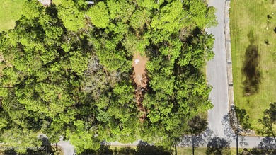 Beautiful 0.42-acre wooded lot located in the desirable Gulf - photo 3