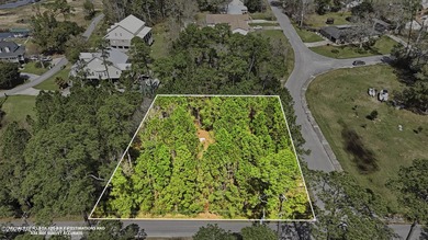 Beautiful 0.42-acre wooded lot located in the desirable Gulf - photo 5