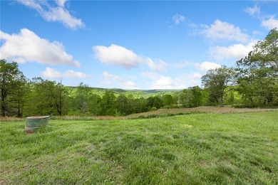 Escape to the beauty of the Ozarks with this stunning 5-bedroom - photo 4