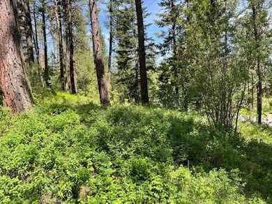 (private lake, pond, creek) Lot For Sale in New Meadows Idaho