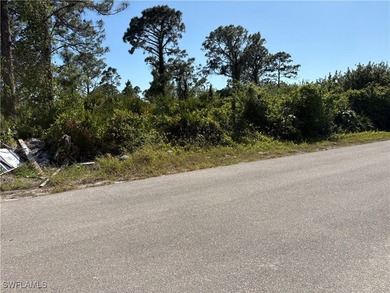 Lehigh Acres Area Lot For Sale in Lehigh Acres Florida