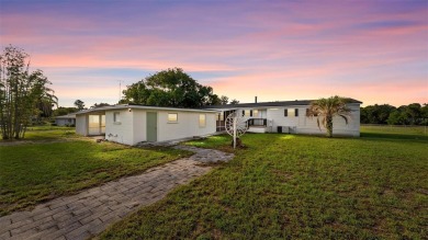 Lake Home For Sale in Leesburg, Florida