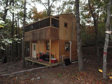 (private lake, pond, creek) Home For Sale in Leslie Arkansas